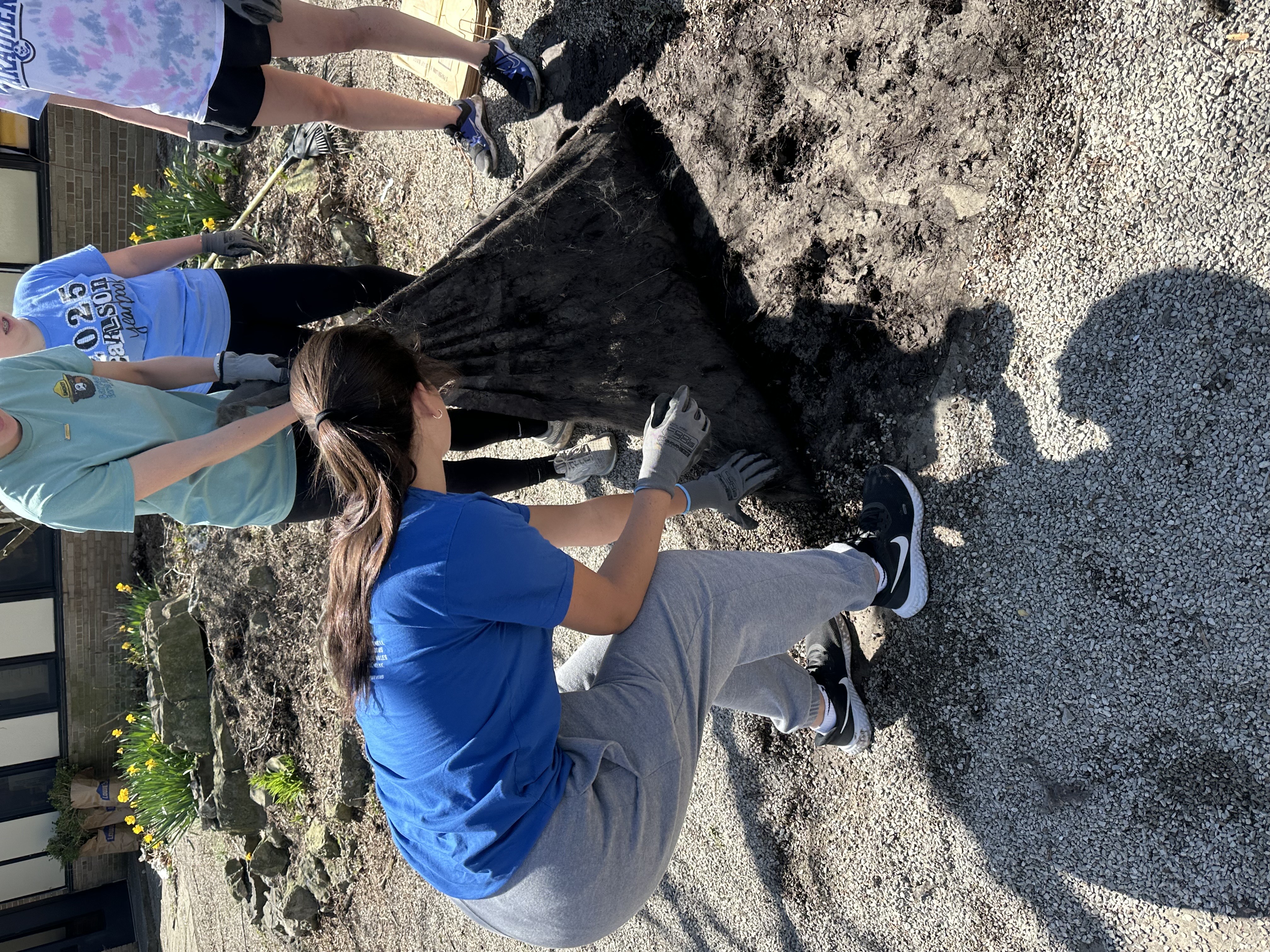 Picking up mulch