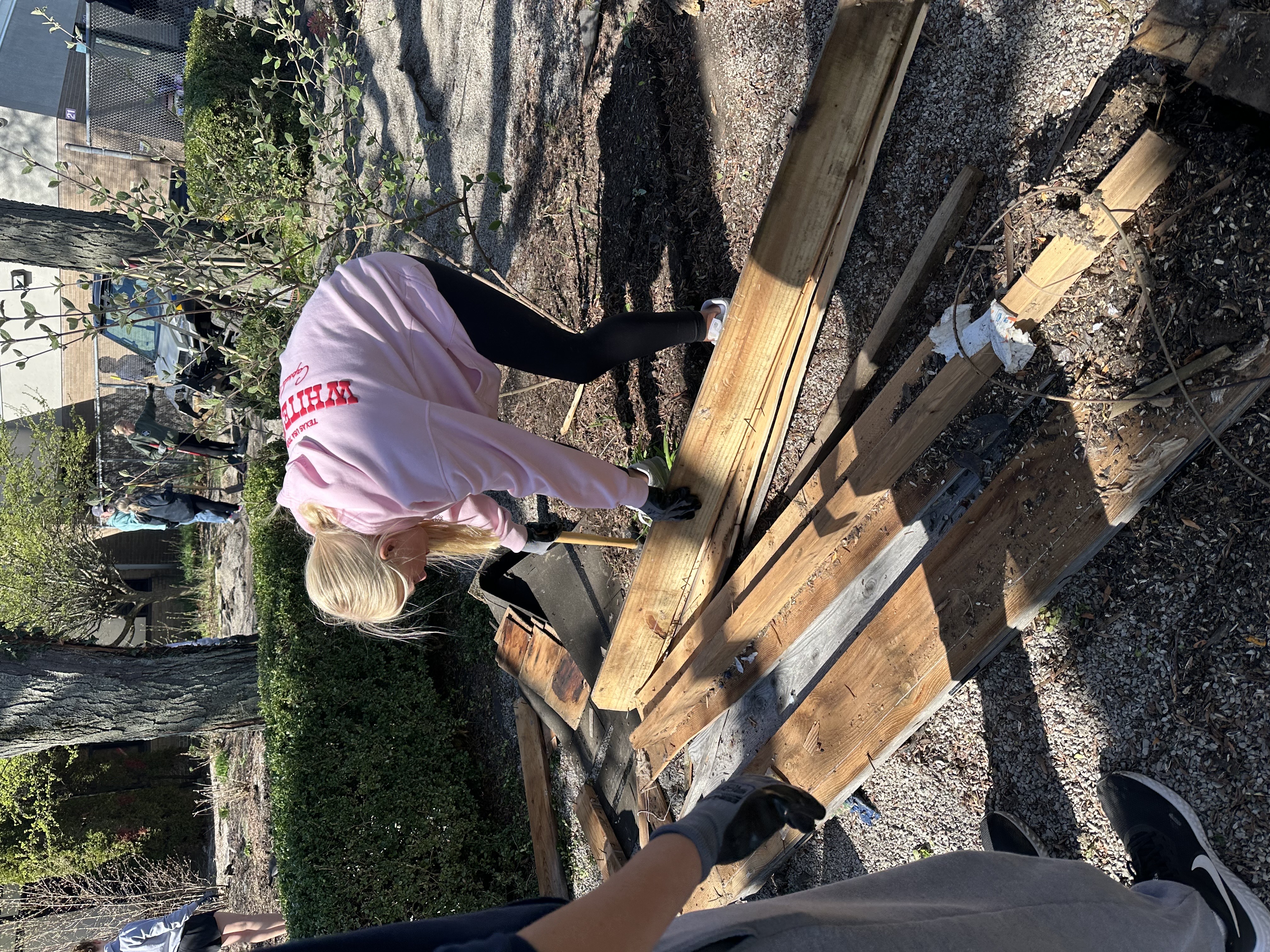 Breaking wood shed